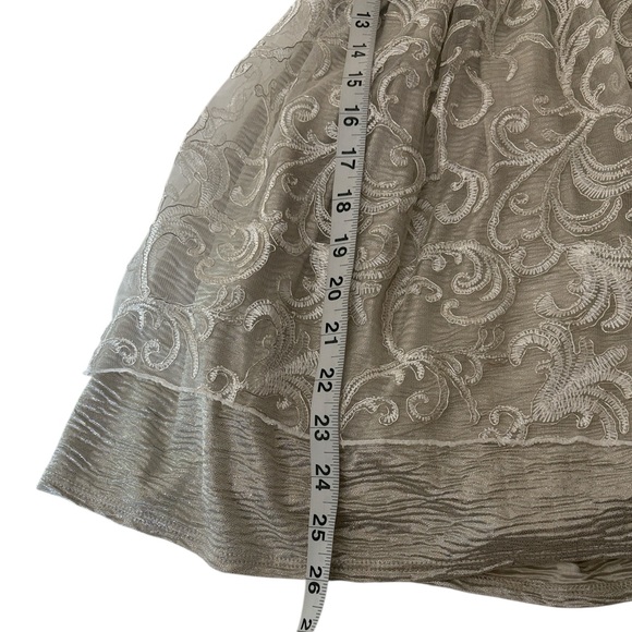 Sweet Heart Rose silver metallic with embroidered trim, tie and zip back,size 6X - Picture 9 of 9